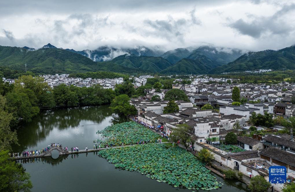 ag平台试玩